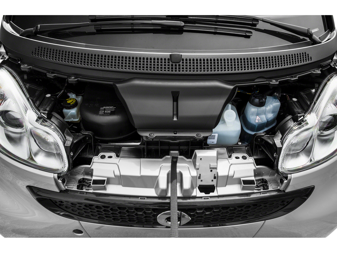 2015 smart Fortwo Passion