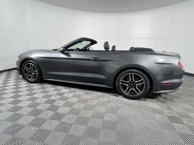 2019 Ford Mustang Base