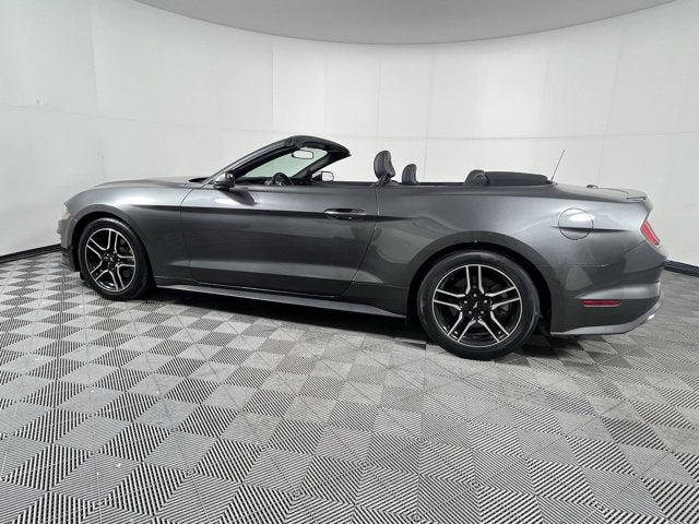 2019 Ford Mustang Base