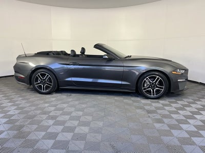 2019 Ford Mustang Base