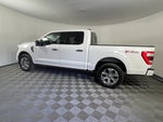 2023 Ford F-150 Base