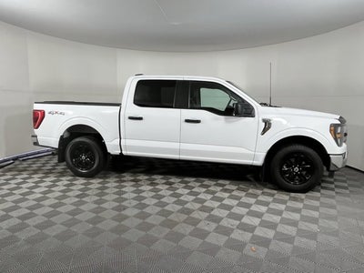 2023 Ford F-150 Base