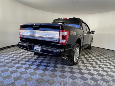 2023 Ford F-150 Base