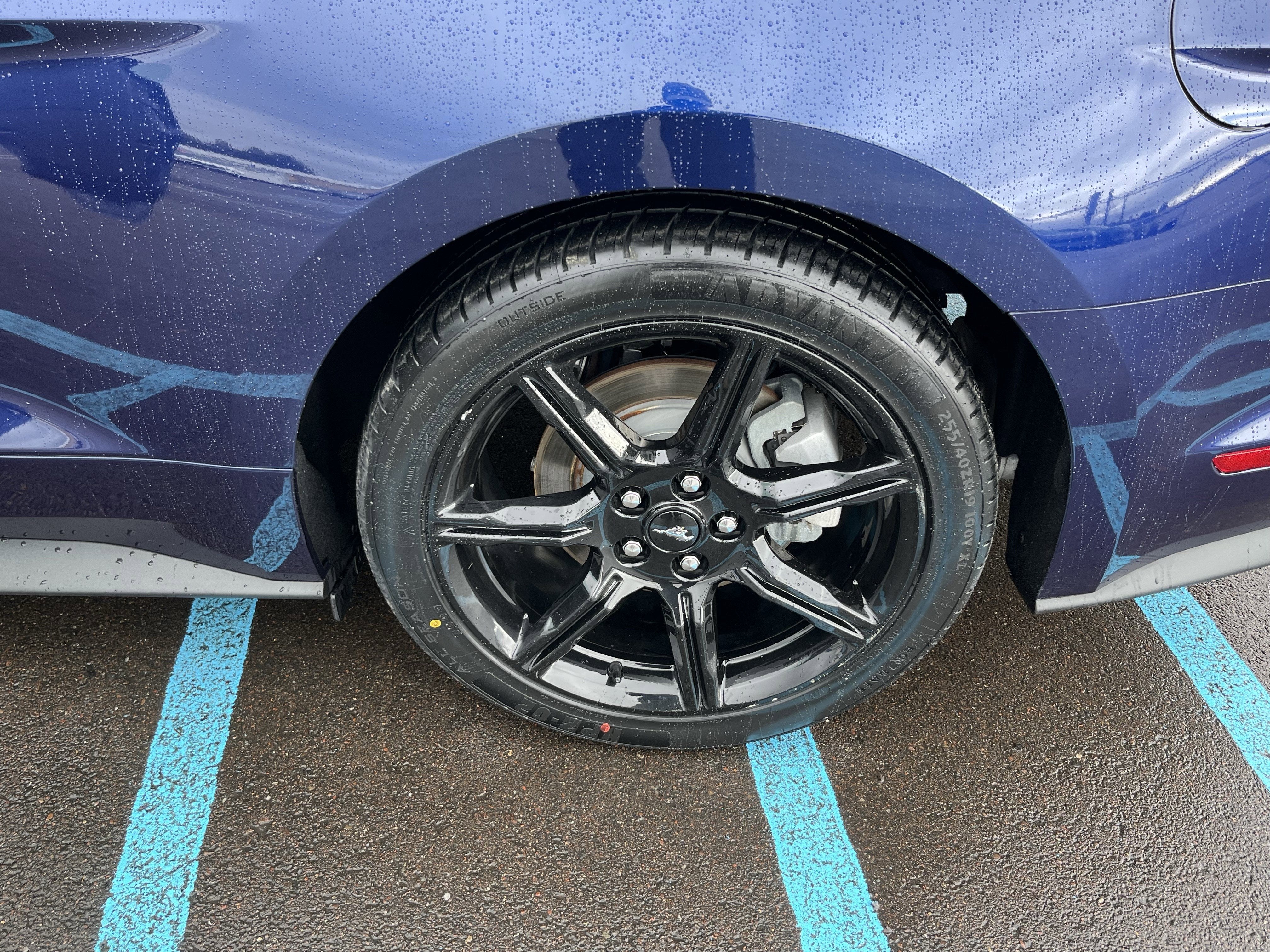 2019 Ford Mustang EcoBoost Fastback