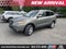 2008 Hyundai SANTA FE SE
