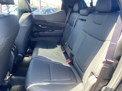 2025 Hyundai SANTA CRUZ SEL Activity