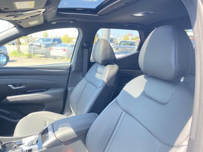 2025 Hyundai SANTA CRUZ SEL Activity