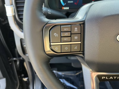 2025 Ford Super Duty F-450 DRW Platinum