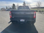 2025 Ford Super Duty F-450 DRW Platinum