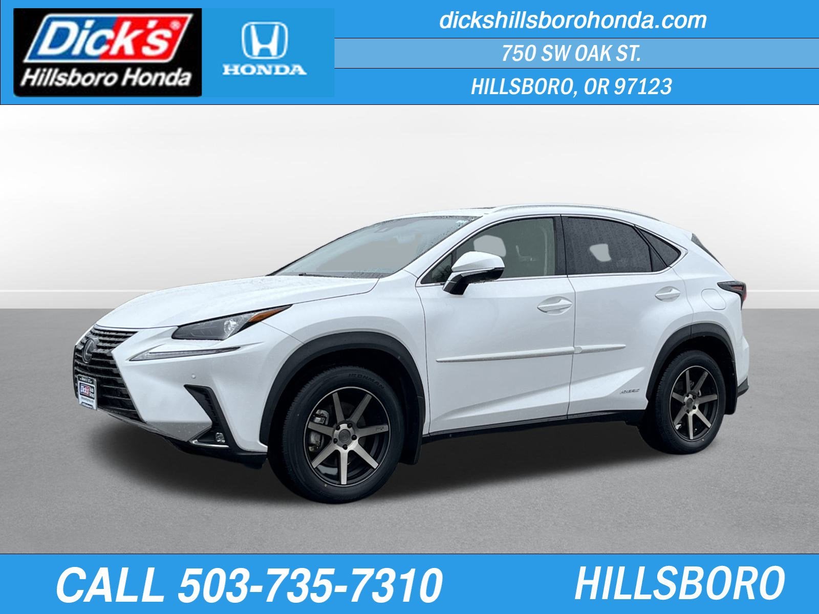 2021 Lexus NX NX 300h