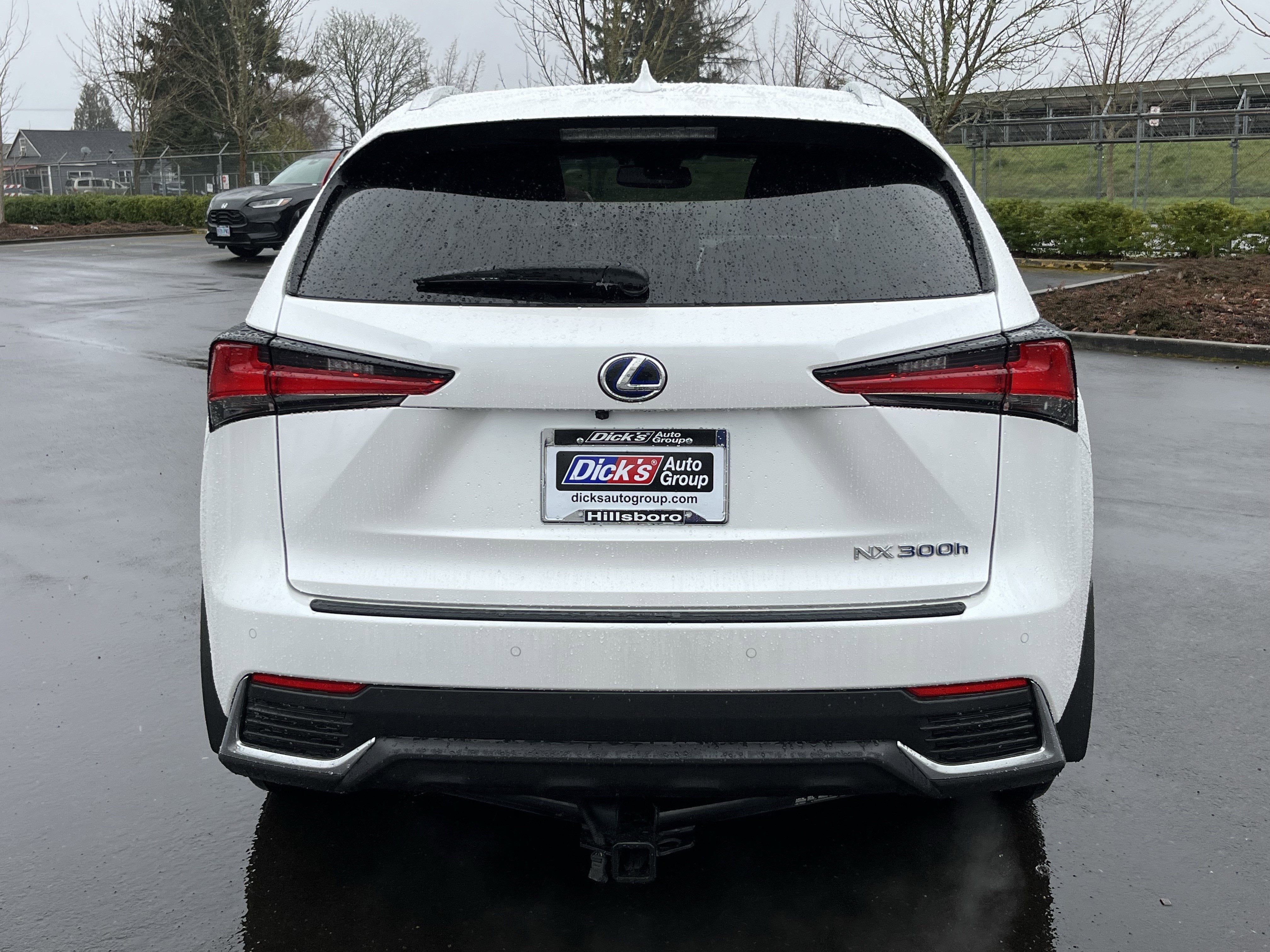 2021 Lexus NX NX 300h