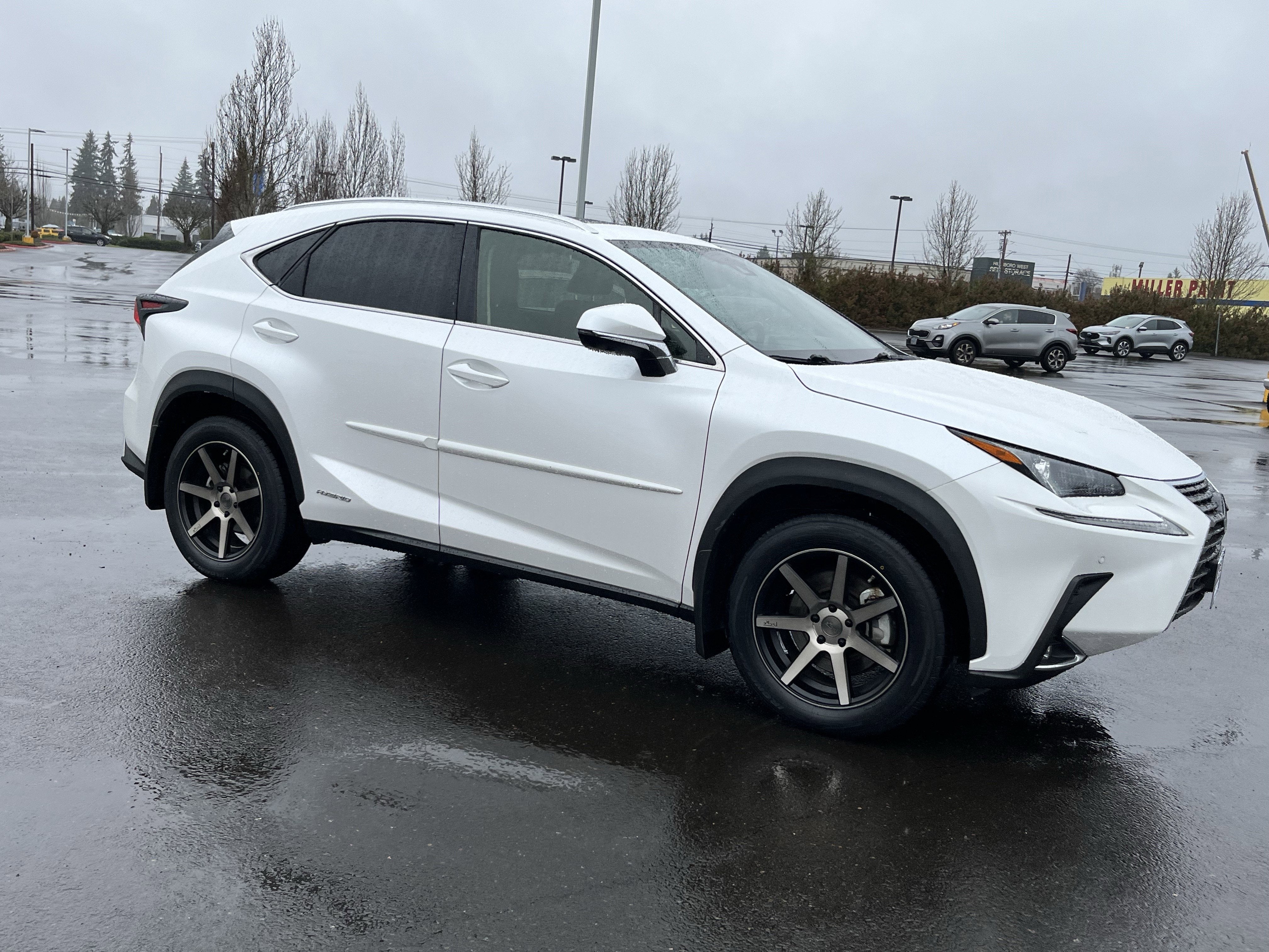 2021 Lexus NX NX 300h